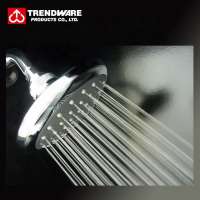 Chrome Finished ABS Single Function Spray Shower Head